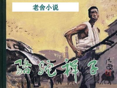 大象传媒视频入口